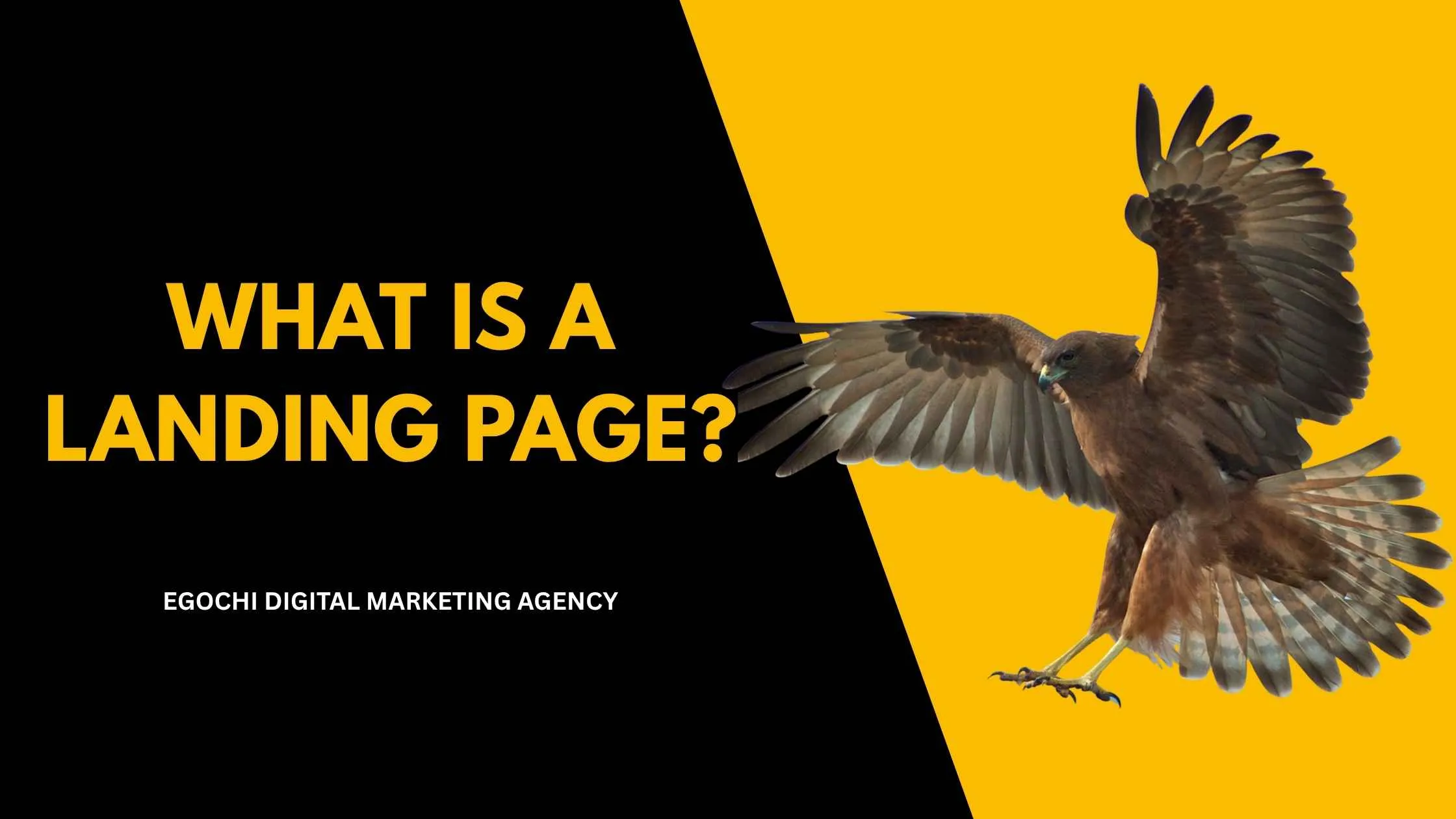 What is a landing page