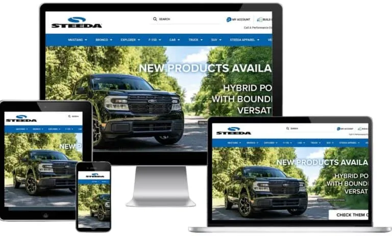 Steeda SEO case study