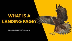 What is a Landing Page?