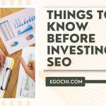 Things to Know Before Investing in SEO