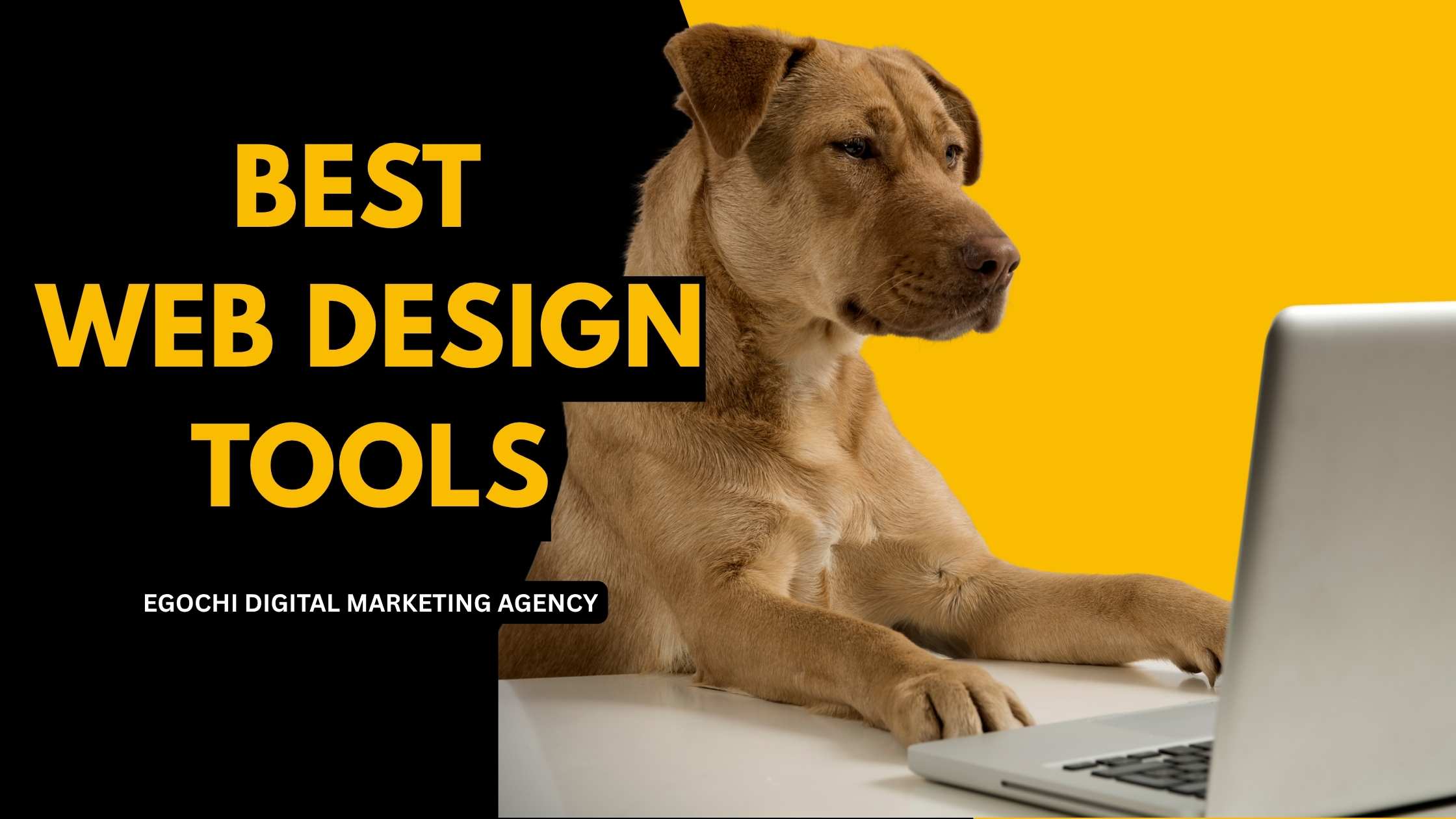 Web Design Tools