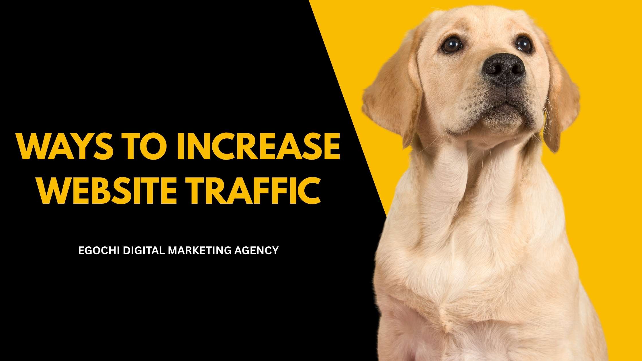 40 Ways to Increase Website Traffic