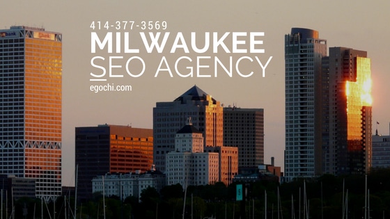 Image result for Egochi Milwaukee: Transforming Local Businesses with Expert SEO Strategies infographics
