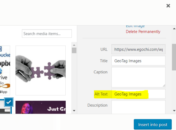 Image SEO - 13 Tips to Grow Your Image Search Rankings - Egochi