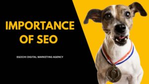 Importance of SEO