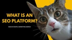 what is an SEO Platform