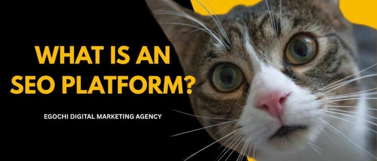 what is an SEO Platform