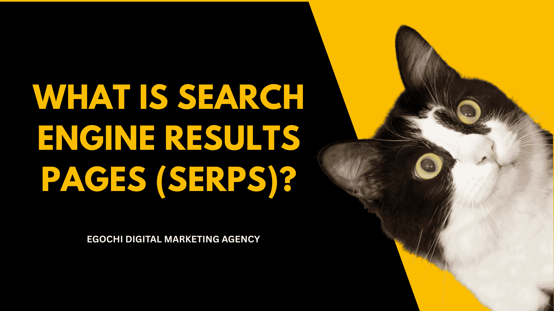 serps